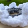 Large Chenille Scrunchie